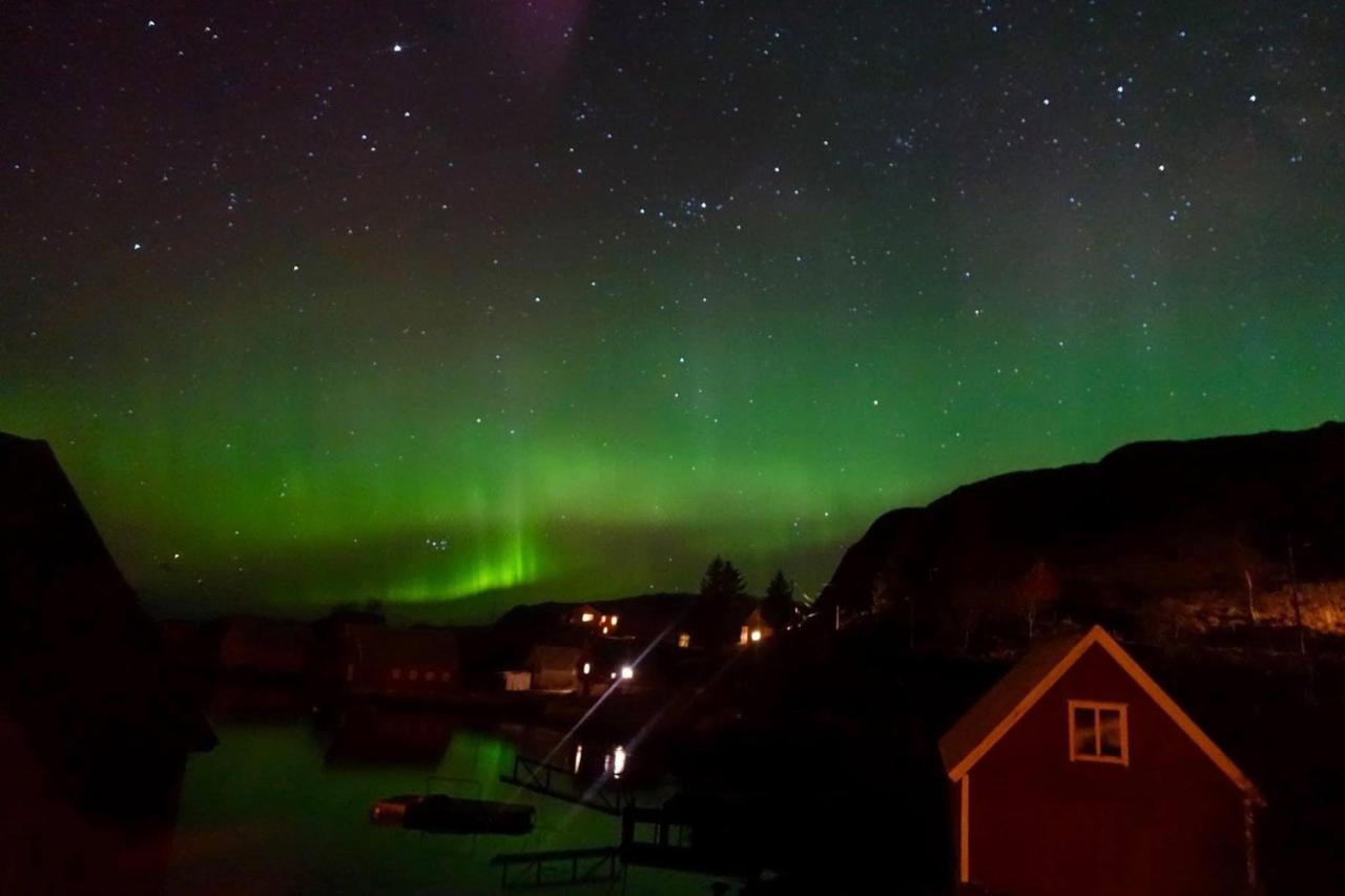 Bakkevik Brygge Daire Kalvåg Dış mekan fotoğraf