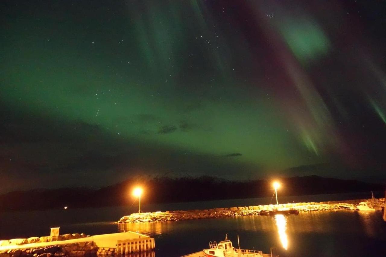 Bakkevik Brygge Daire Kalvåg Dış mekan fotoğraf