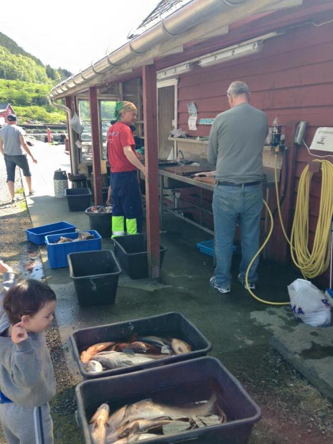 Bakkevik Brygge Daire Kalvåg Dış mekan fotoğraf